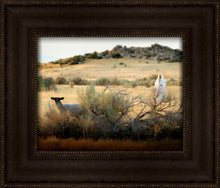 Load image into Gallery viewer, In Search of the One
