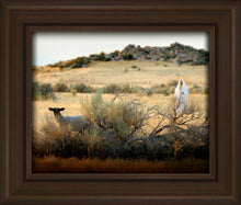Load image into Gallery viewer, In Search of the One