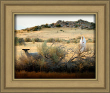 Load image into Gallery viewer, In Search of the One