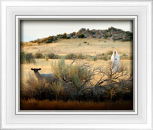 Load image into Gallery viewer, In Search of the One