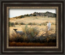 Load image into Gallery viewer, In Search of the One