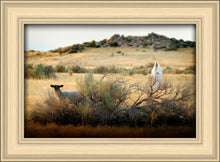 Load image into Gallery viewer, In Search of the One