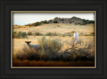 Load image into Gallery viewer, In Search of the One