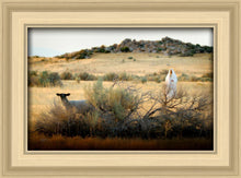 Load image into Gallery viewer, In Search of the One