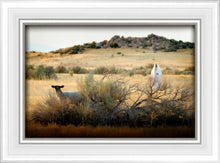 Load image into Gallery viewer, In Search of the One