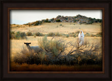 Load image into Gallery viewer, In Search of the One