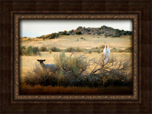 Load image into Gallery viewer, In Search of the One