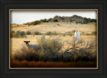 Load image into Gallery viewer, In Search of the One