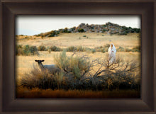 Load image into Gallery viewer, In Search of the One