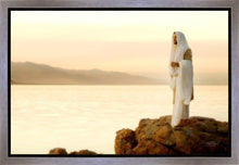 Load image into Gallery viewer, Light of the World