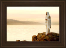 Load image into Gallery viewer, Light of the World