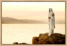 Load image into Gallery viewer, Light of the World