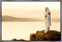Load image into Gallery viewer, Light of the World