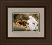 Load image into Gallery viewer, The Comforter
