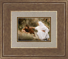 Load image into Gallery viewer, The Comforter
