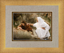 Load image into Gallery viewer, The Comforter