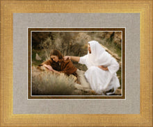 Load image into Gallery viewer, The Comforter