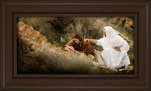 Load image into Gallery viewer, The Comforter