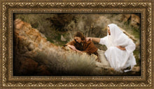Load image into Gallery viewer, The Comforter