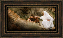Load image into Gallery viewer, The Comforter