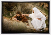 Load image into Gallery viewer, The Comforter