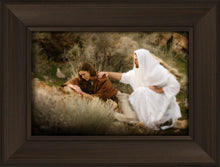 Load image into Gallery viewer, The Comforter