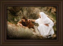 Load image into Gallery viewer, The Comforter