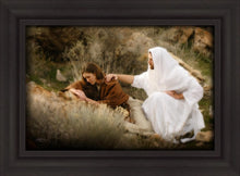 Load image into Gallery viewer, The Comforter
