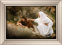 Load image into Gallery viewer, The Comforter