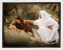 Load image into Gallery viewer, The Comforter