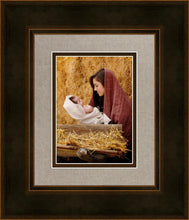 Load image into Gallery viewer, The Son of God