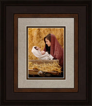 Load image into Gallery viewer, The Son of God