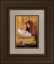 Load image into Gallery viewer, The Son of God
