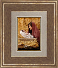 Load image into Gallery viewer, The Son of God