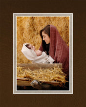 Load image into Gallery viewer, The Son of God