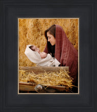 Load image into Gallery viewer, The Son of God