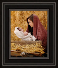 Load image into Gallery viewer, The Son of God