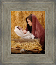 Load image into Gallery viewer, The Son of God