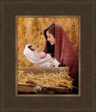 Load image into Gallery viewer, The Son of God