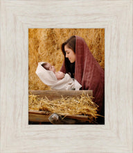 Load image into Gallery viewer, The Son of God