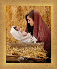 Load image into Gallery viewer, The Son of God