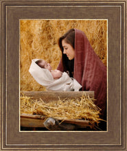 Load image into Gallery viewer, The Son of God