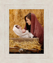 Load image into Gallery viewer, The Son of God