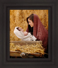 Load image into Gallery viewer, The Son of God