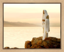 Load image into Gallery viewer, Light of the World