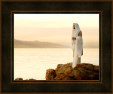 Load image into Gallery viewer, Light of the World