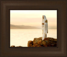 Load image into Gallery viewer, Light of the World