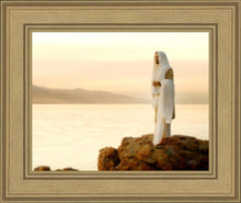 Load image into Gallery viewer, Light of the World