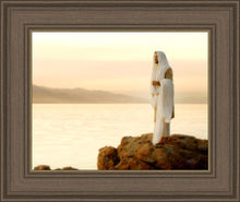 Load image into Gallery viewer, Light of the World