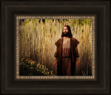 Load image into Gallery viewer, Prepare ye the way of the Lord